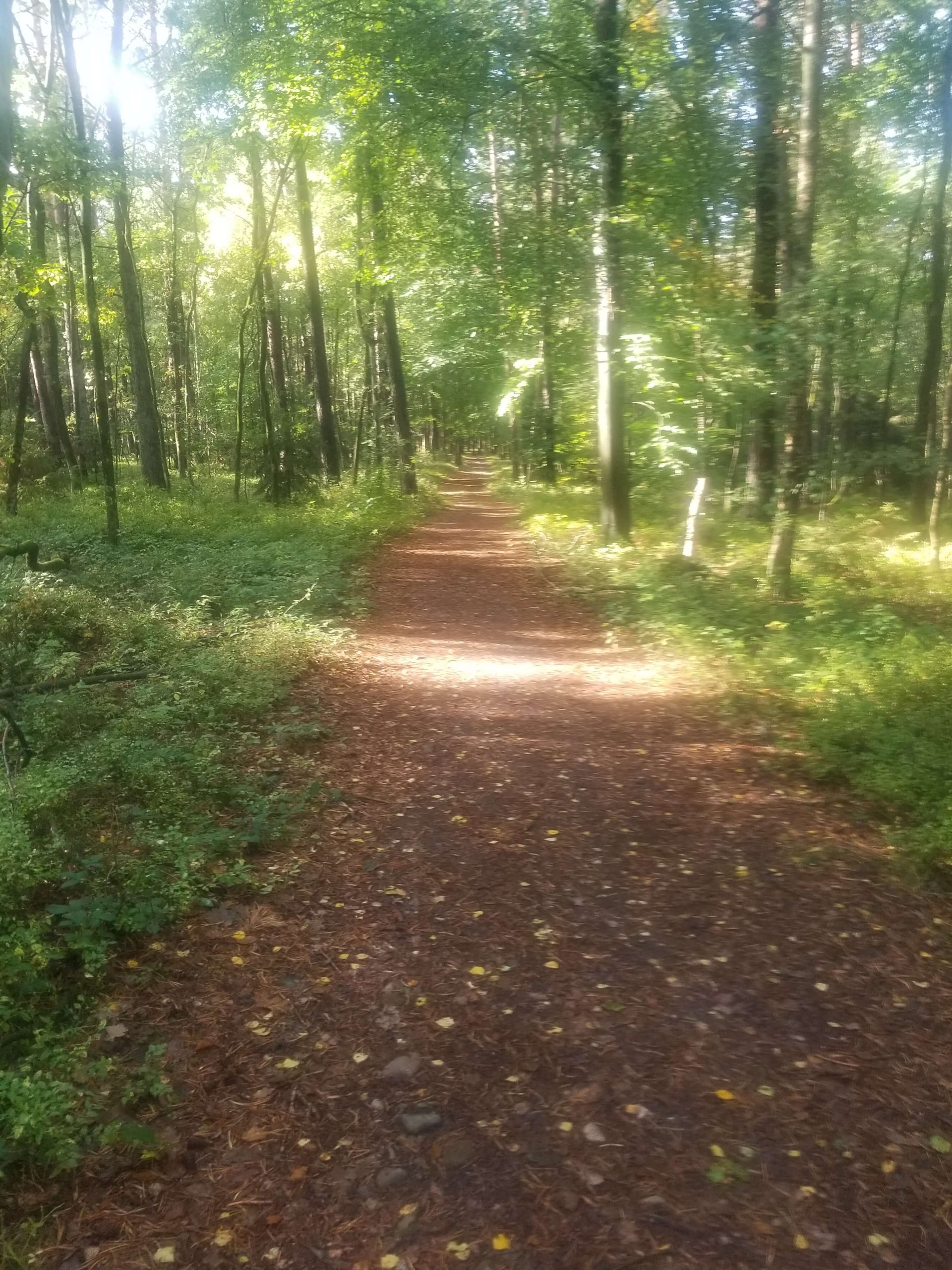 Auf Dem Spitzbubenweg