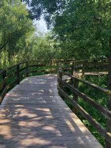 Auetal Holzsteg Bruecke