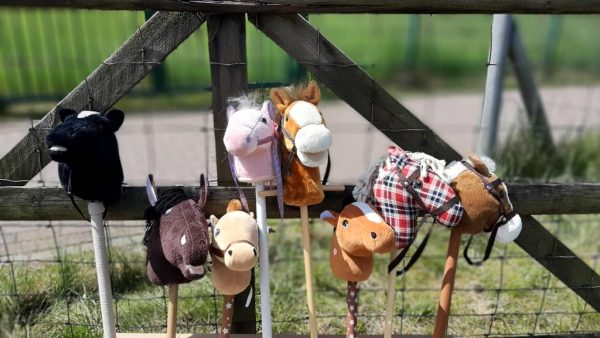 Hobby Horsing Tsv Heidenau