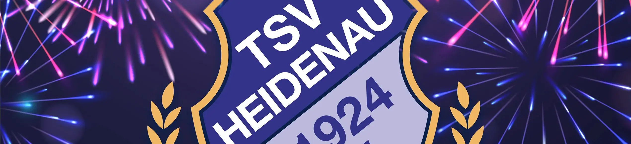 Page Stage 100 Jahre Tsv Heidenau