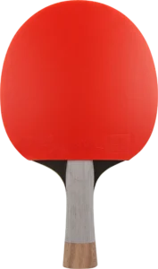 Tischtennis-schläger