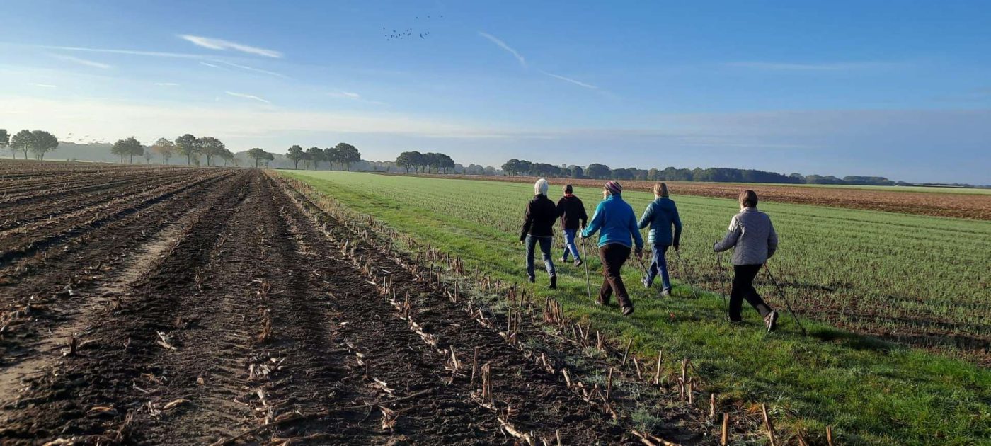 Tsv Heidenau Walking