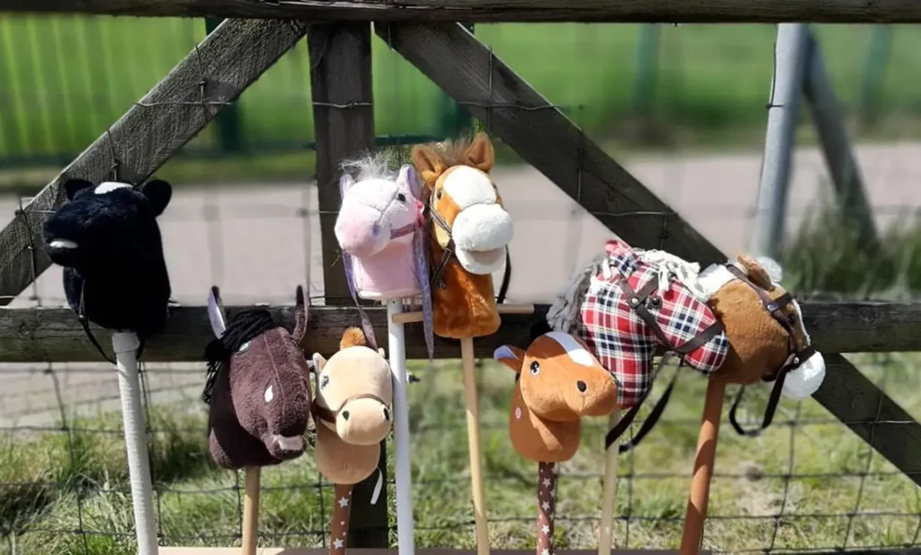 Tsv Heidenua Fuer Kinder Hobby Horsing